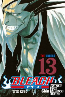 Bleach 13