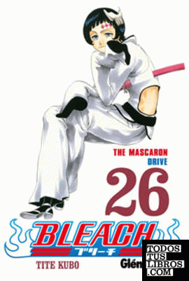 Bleach 26
