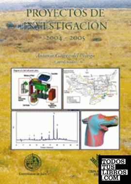 Proyectos de investigación 2004 - 2005