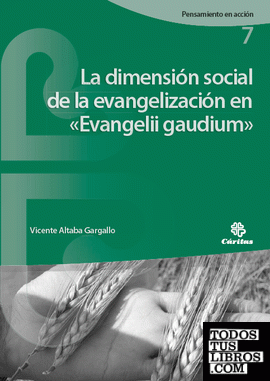 La dimensión social de la evangelización en «Evangelii gaudium»