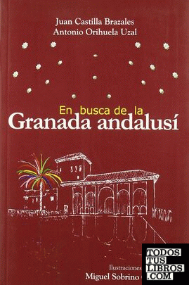En busca de la Granada andalusí