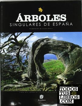Árboles singulares de España