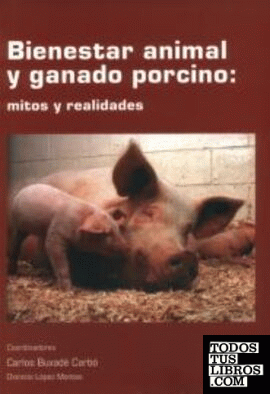 Bienestar animal y ganado porcino: mitos y realidades