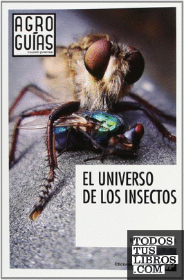 El universo de los insectos