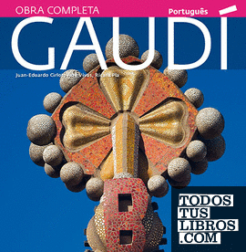 Gaudí, uma introdução a sua arquitetura