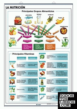 La Nutrición / El Cuerpo Humano