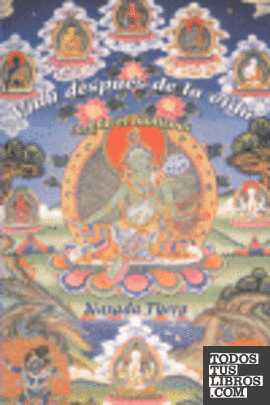 Vida después de la vida según el budismo
