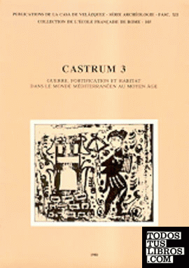 Castrum 3