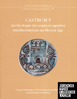 Castrum 5