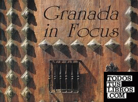 Granada in focus