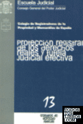 Protección registral de los derechos reales y tutela judicial efectiva