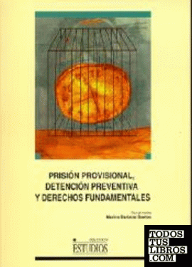 Prisión provisional, detención preventiva y derechos fundamentales