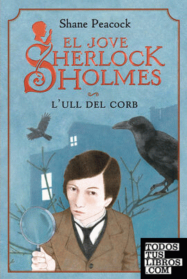 El jove Sherlock Holmes. L'ull del corb