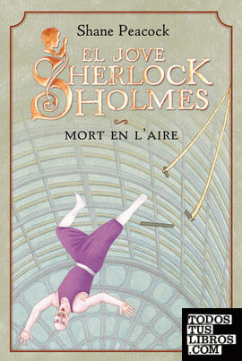El jove Sherlock Holmes. Mort en l'aire