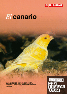 El canario