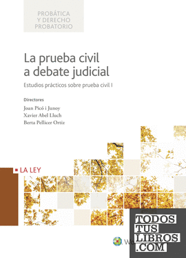 La prueba civil a debate judicial