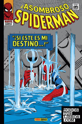 El Asombroso Spiderman 2 . ¡Si éste es mi destino!