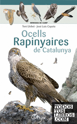 Ocells rapinyaires de Catalunya