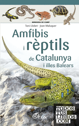 Amfibis i rèptils de Catalunya i illes Balears