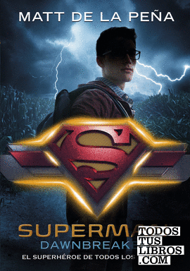 Superman (DC ICONS 4)
