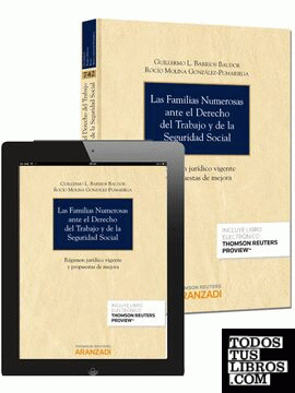 Las familias numerosas ante el Derecho del Trabajo y de la Seguridad Social (Papel + e-book)