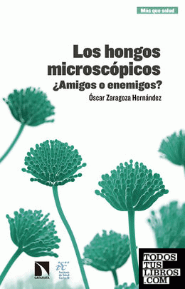 Los hongos microscópicos