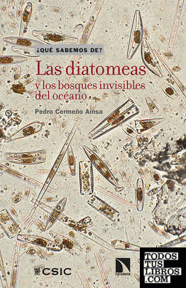 Las diatomeas y los bosques invisibles del océano