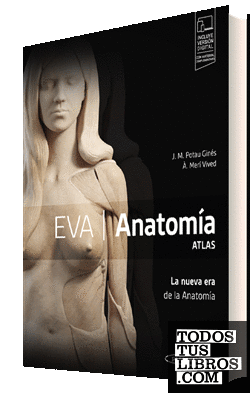 EVA. Anatomía. ATLAS