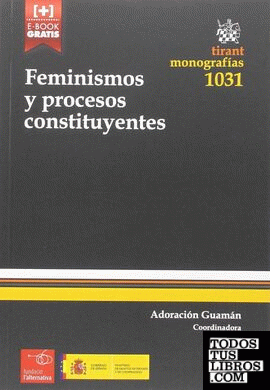 Feminismos y Procesos Constituyentes
