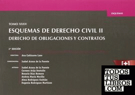Tomo XXXV Esquemas de Derecho Civil II Derecho de Obligaciones y Contratos 2ª Edición 2016