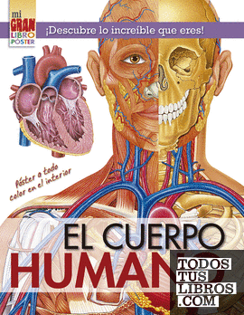 Mii gran libro póster: Cuerpo humano