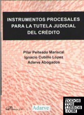 Instrumentos procesales para la tutela judicial del crédito