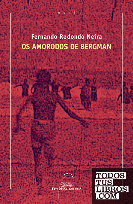 Os amorodos de Bergman (XVIII Premio Ramón Piñeiro de Ensaio 2018)