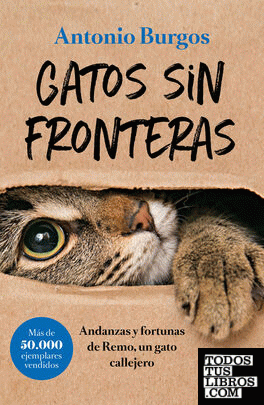 Gatos sin fronteras