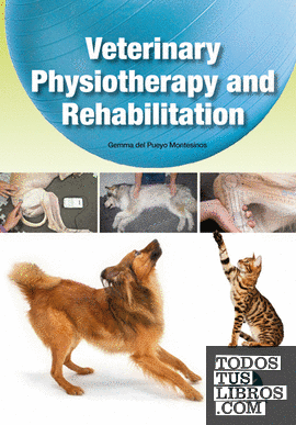 Veterinary physiotherapy and rehabilitation