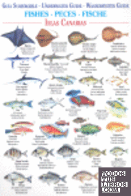 FISHES / PECES / FISCHE GUIA SUMERGIBLE