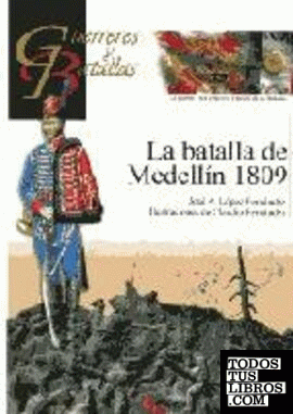 Batalla de Medellín, 1809, La