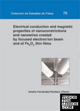 Electrical conduction and magnetic properties of nanoconstrictions and nanowires created by focused electron/ion beam and of Fe304 thin films