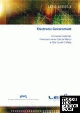 Electronic government