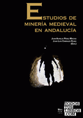 Estudios de minería medieval en Andalucía