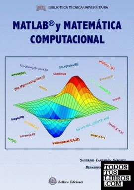 Matlab y matemática computacional