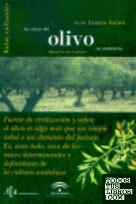 Las rutas del olivo en Andalucía