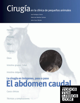 El abdomen caudal. Cirugía en la clínica de pequeños animales