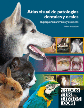 Atlas visual de patologías dentales y orales en pequeños animales y exóticos
