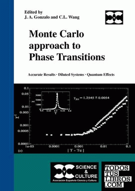 Monte Carlo approach to phase transitions