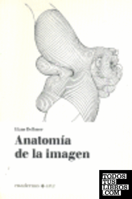 Anatomía de la imagen