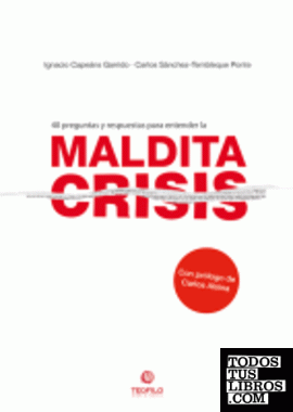 40 preguntas y respuestas para entender la maldita crisis