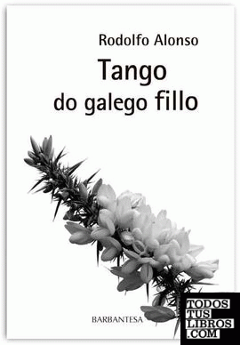 Tango do galego fillo