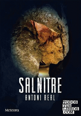 Salnitre (ebook) Salnitre (ebook)