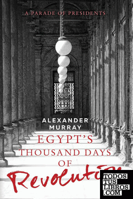 Egypt's Thousand Days of Revolution